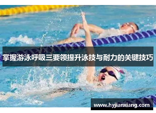 掌握游泳呼吸三要领提升泳技与耐力的关键技巧